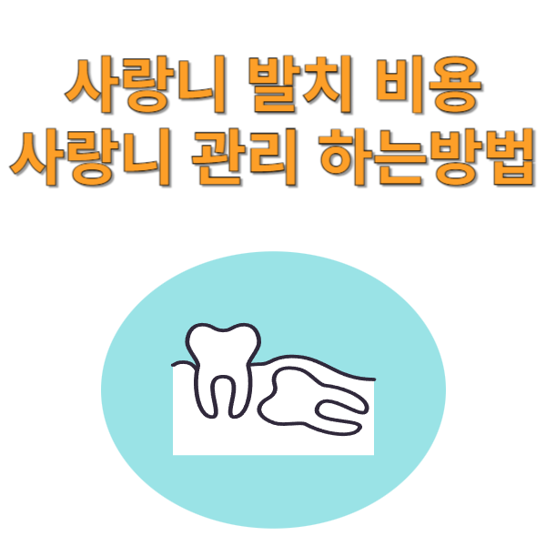 사랑니 발치 비용 후기 충치 예방법 (2024)