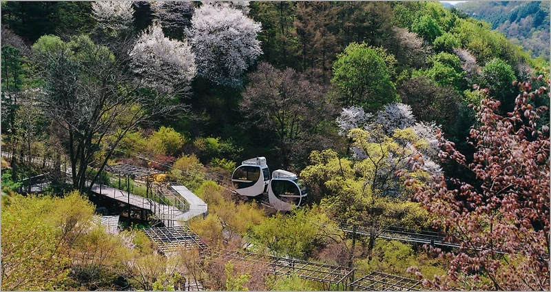 2024 서울근교 가족여행 화담숲 예매방법, 모노레일 꿀팁 및 예약하기