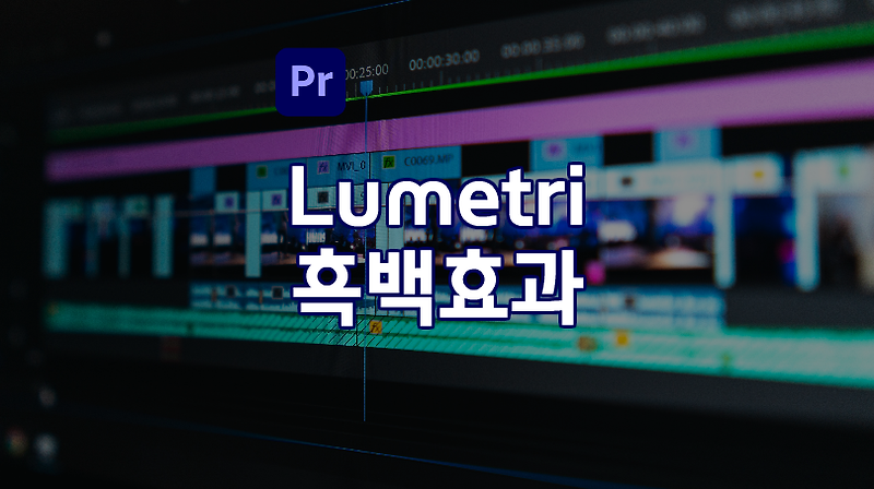 프리미어 프로 : Lumetri / 흑백효과