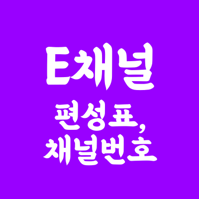 E채널(이채널) 편성표와  e채널 채널번호, 정확하게 정리해봄