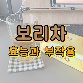 보리차 효능 및 부작용