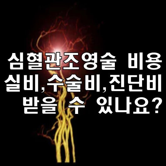 심혈관조영술 비용 실비,수술비,진단비 받을 수 있나요?