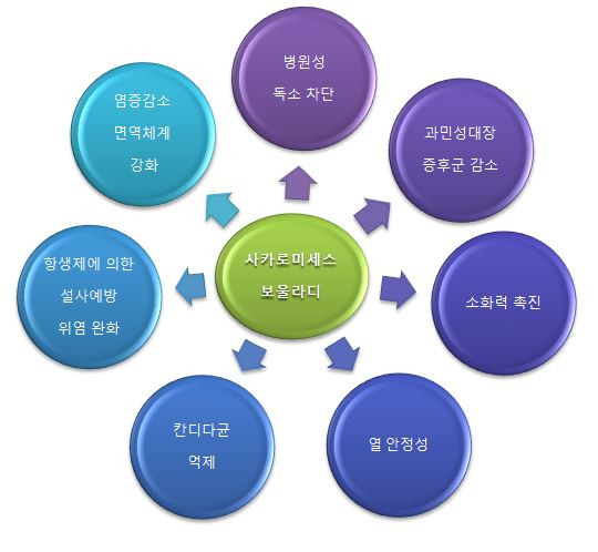 사카로미세스 보울라디 효능 부작용 하루 권장 섭취량