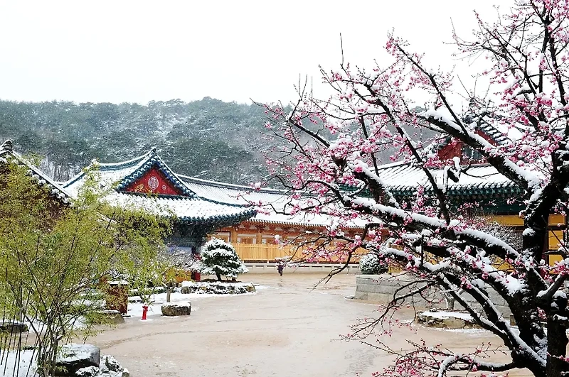 유네스코 세계문화유산으로 등재된 한국의 사찰