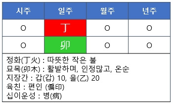 [사주명리] 정묘일주(丁卯日柱)