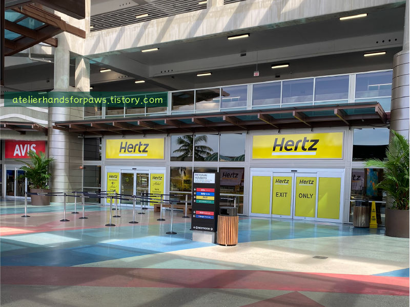 호놀룰루 공항 허츠 렌터카 진짜 픽업 좌표(구글맵이 알려주는 거기 아님)