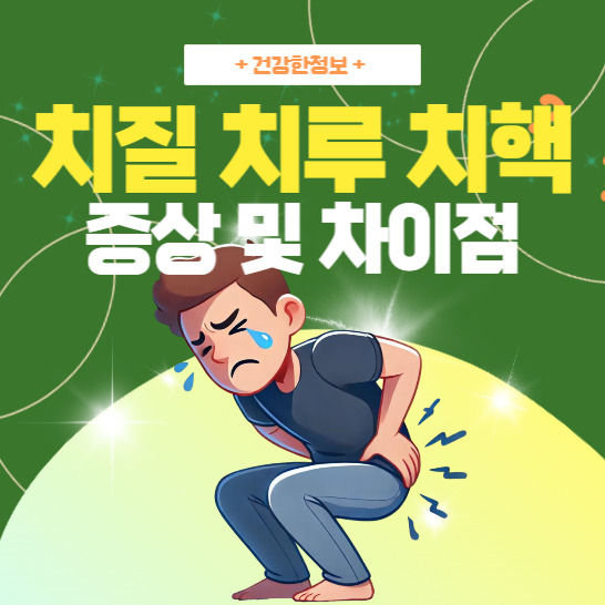 치질 치루 치핵 증상 및 차이점