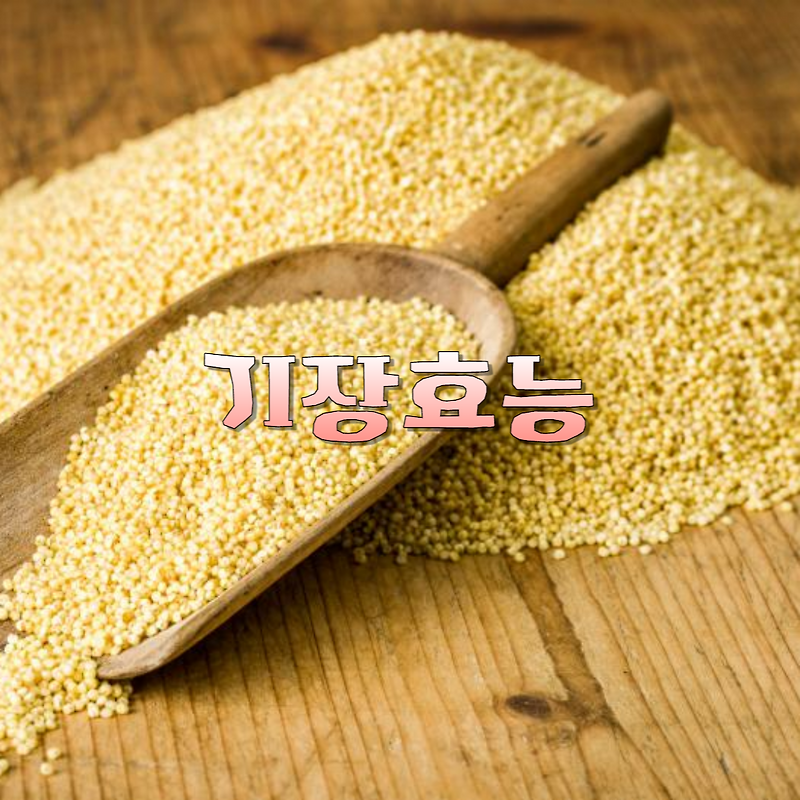 기장의 효능 영양성분 고르는 법 부작용