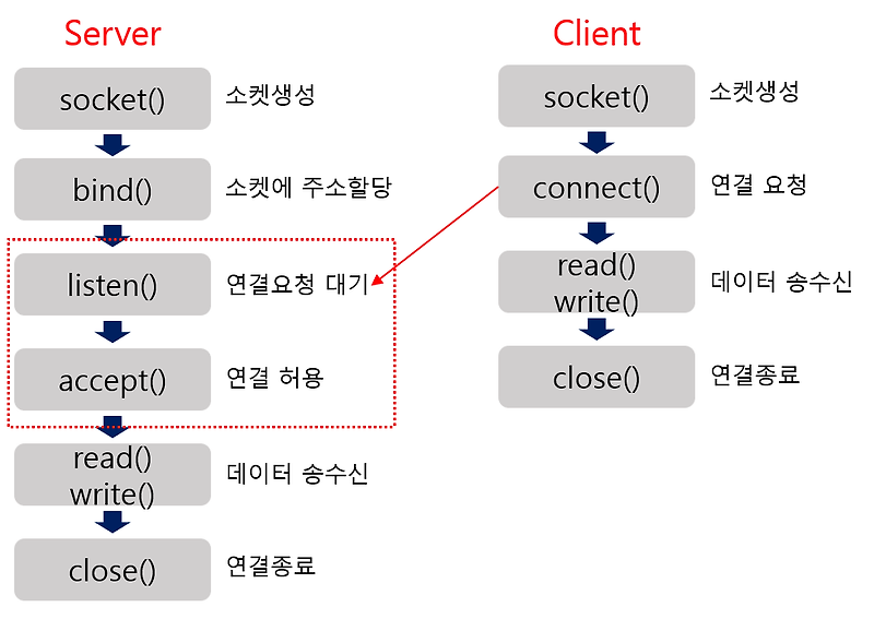 [Network][TCP/IP] 소켓 구현(1)_ 리눅스 서버 구현 :: A Long Life