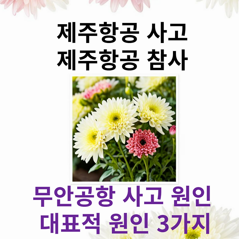 제주항공 사고 원인 3가지 | 제주항공 참사 | 무안공항 사고 | 사고 보상금