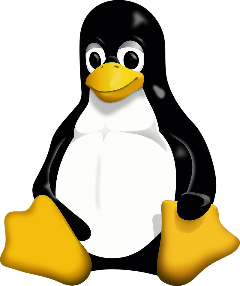 [Linux] kill, killall 명령어