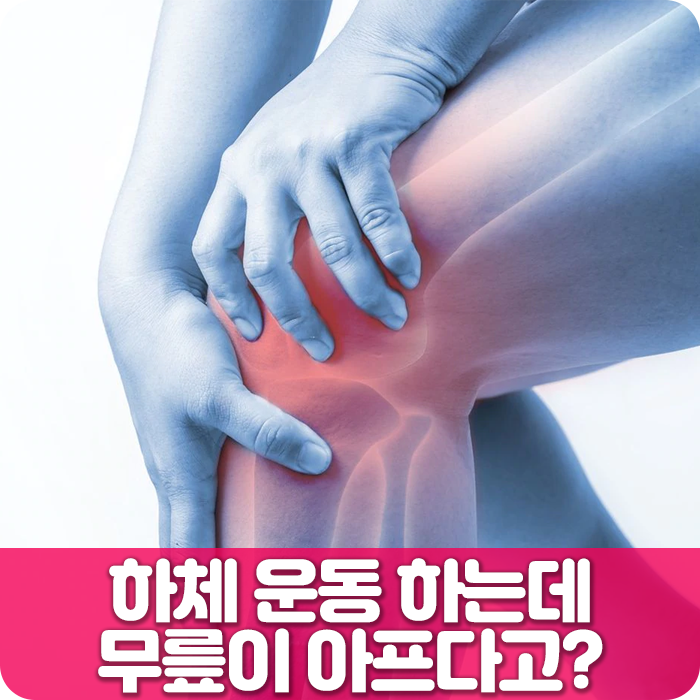 하체운동 하는데 무릎이 아프다고?