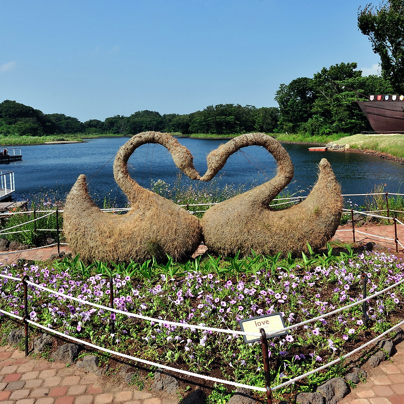 Couple - ECOLAND - Jeju