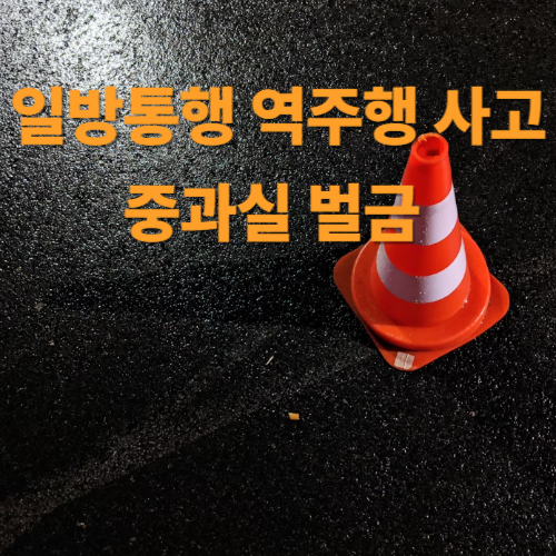 일방통행 역주행 사고 과실, 중과실 벌금