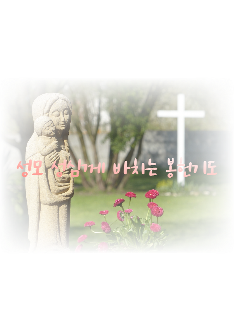 성모 성심께 바치는 봉헌 기도