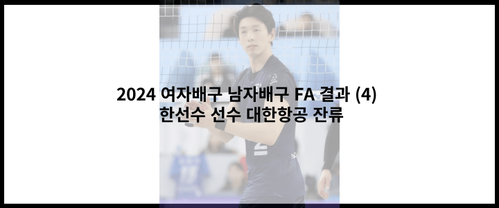 여자배구 남자배구 <b>FA</b> 결과 (4) - 한선수 선수 <b>대한항공</b> <b>잔류</b>
