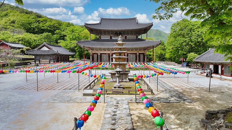 [무량사] 무량사의 봄
