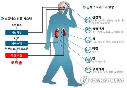 질병의 원인