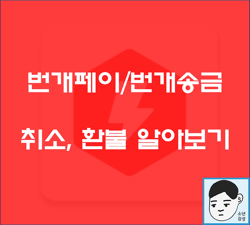 [번개장터] 번개페이 번개송금 취소와 환불