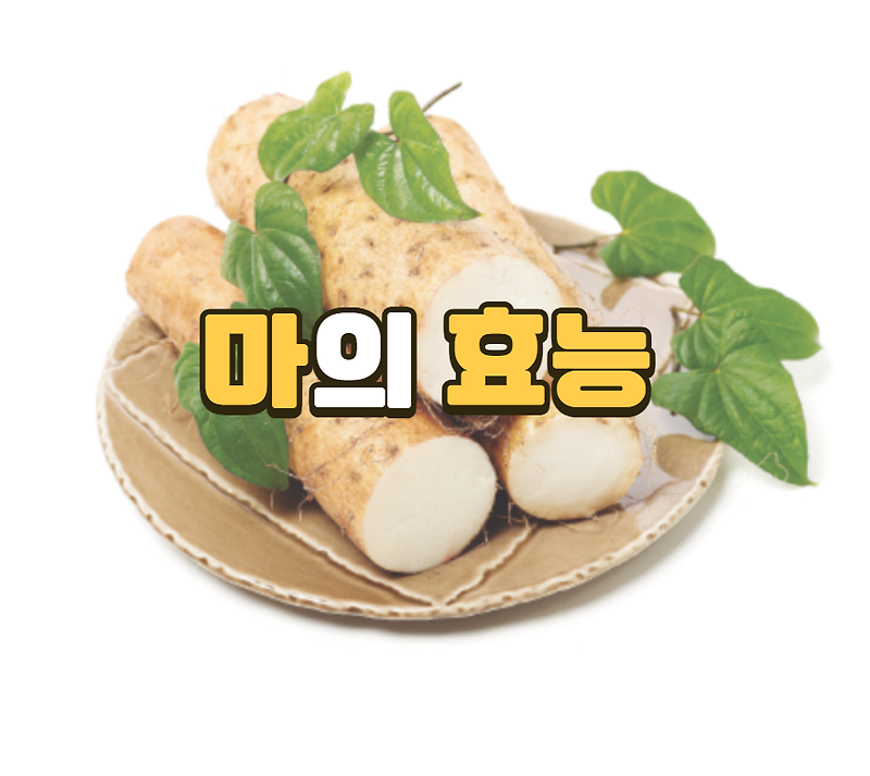 마의 놀라운 효능 : 건강을 위한 자연의 선물