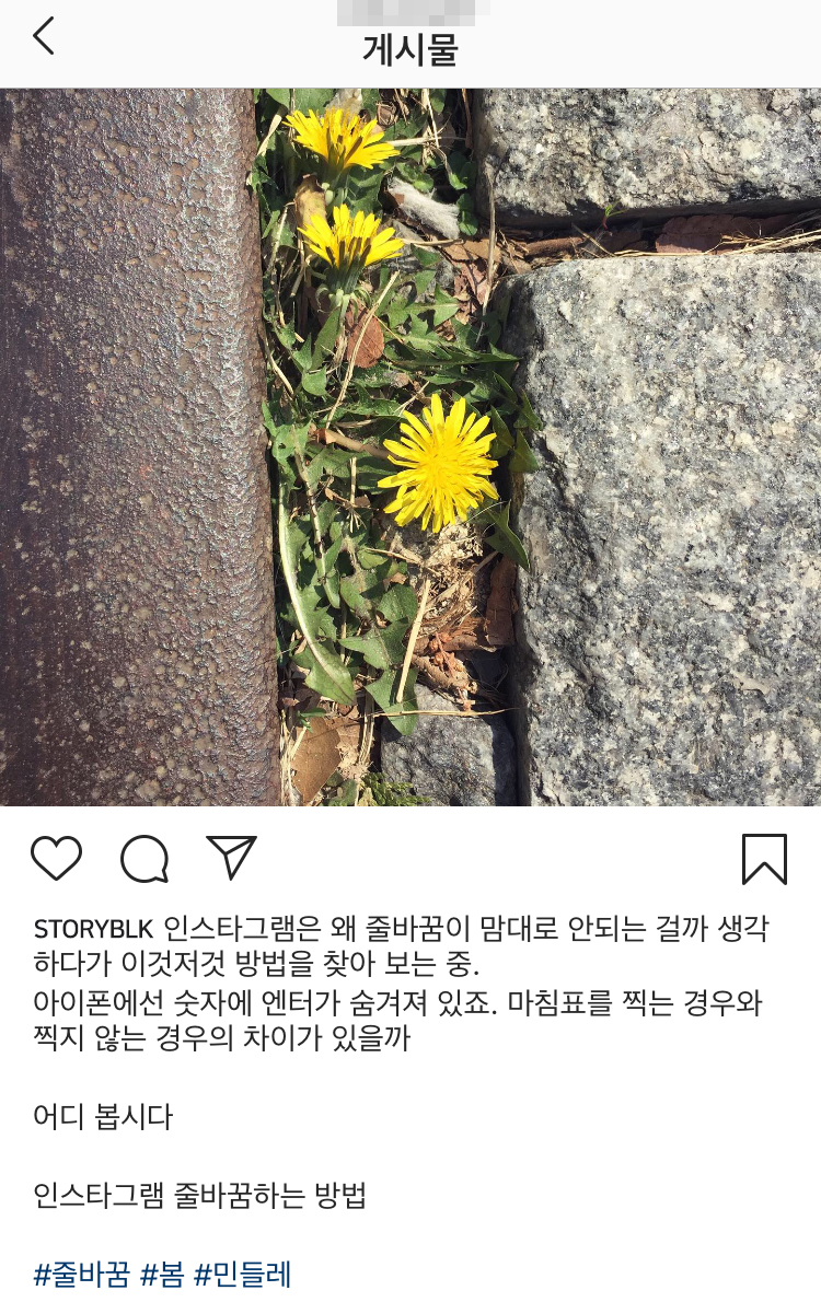 '인스타그램 줄바꾸기' 방법, 나만 몰랐네.