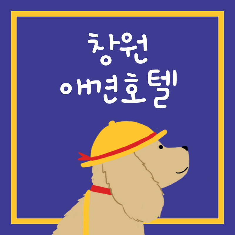 창원 애견호텔 정리