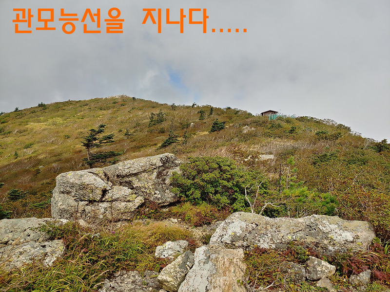 설악산, 오색~대청봉~관모능선 산행이야기