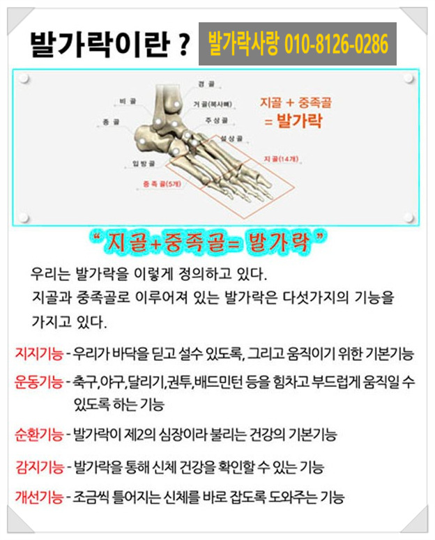 발가락 지골과 중족골이 변형되면 발가락이 저리고 발바닥이 아파요