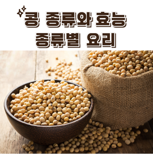 콩 종류와 효능,특징별 요리산책