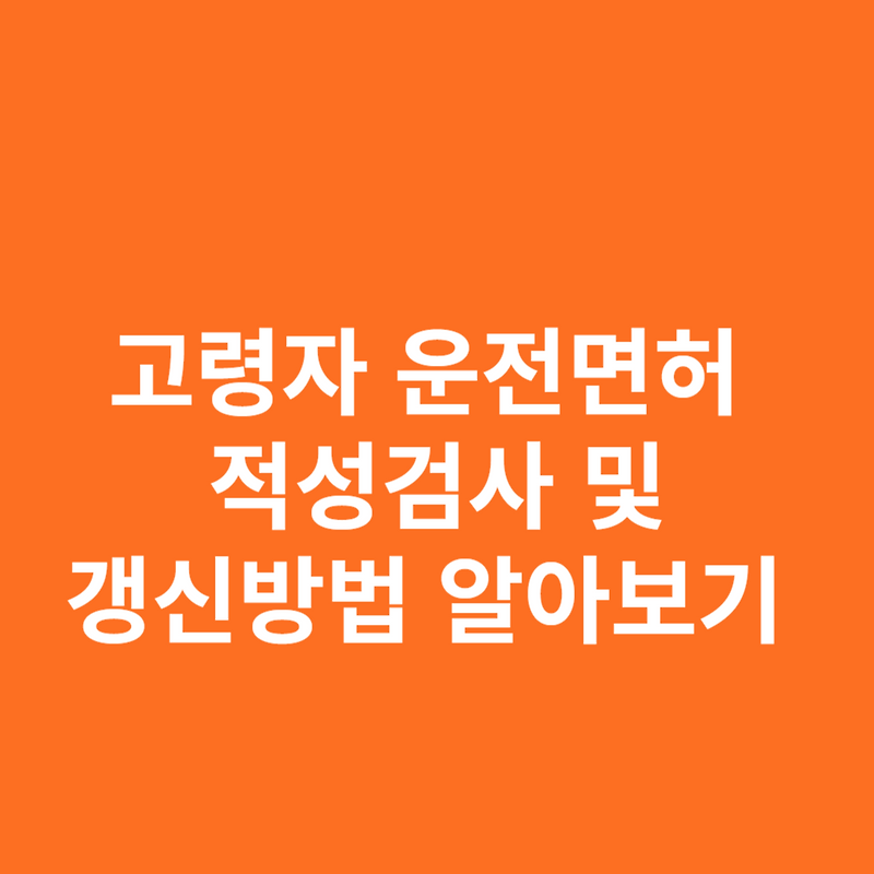 고령자 운전면허 적성검사