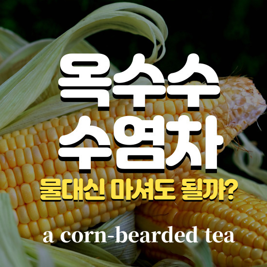 옥수수 수염차 물대신 마셔도 될까? 효능 부작용 칼로리 만들기