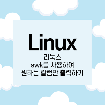 [Linux] 리눅스 awk를 사용하여 원하는 칼럼만 출력하기