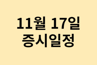 11월 17일 증시일정