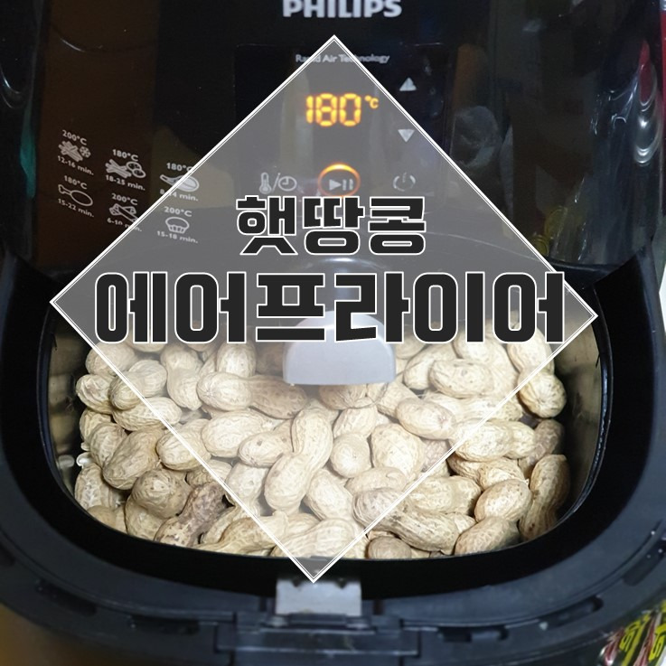 국산 땅콩 에어프라이어로 맛있게 볶는 방법(피땅콩 st.)