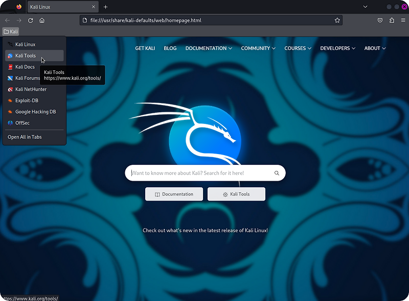  vmware kali linux expand disk spaces gparted tool install 