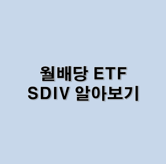 월배당 ETF SDIV 총정리!!! (달러로 매월 월세 받자!!!)