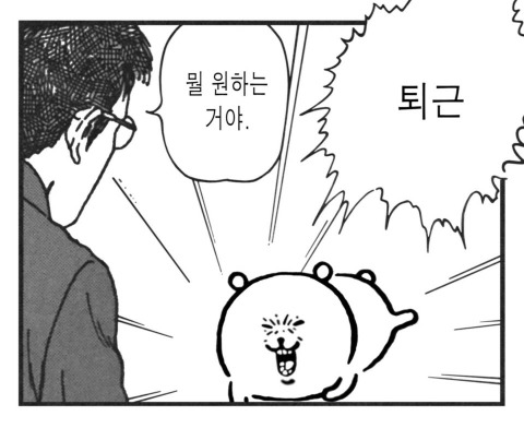 Top 68 농담곰 짤 Update