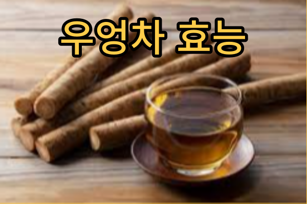 우엉차 효능과 우엉차 만드는법(만들기), 우엉차 부작용