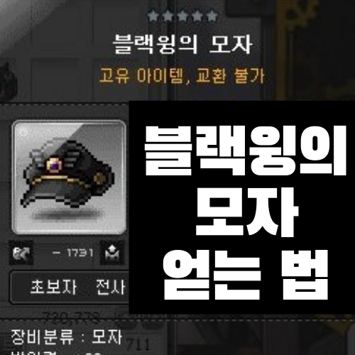 메이플스토리 블랙윙의 모자 얻는 방법 (스테판 / 은밀한 제의 / 블랙윙 위장복 구입)