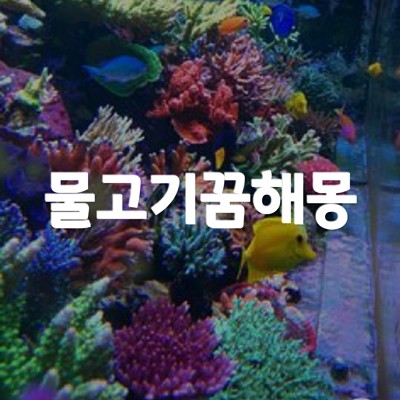 물고기 꿈 해몽 총정리