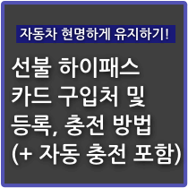 선불 하이패스 카드 구입처 및 등록, 충전 방법(+ 자동 충전) - 야옹멍멍 경제 다이어리