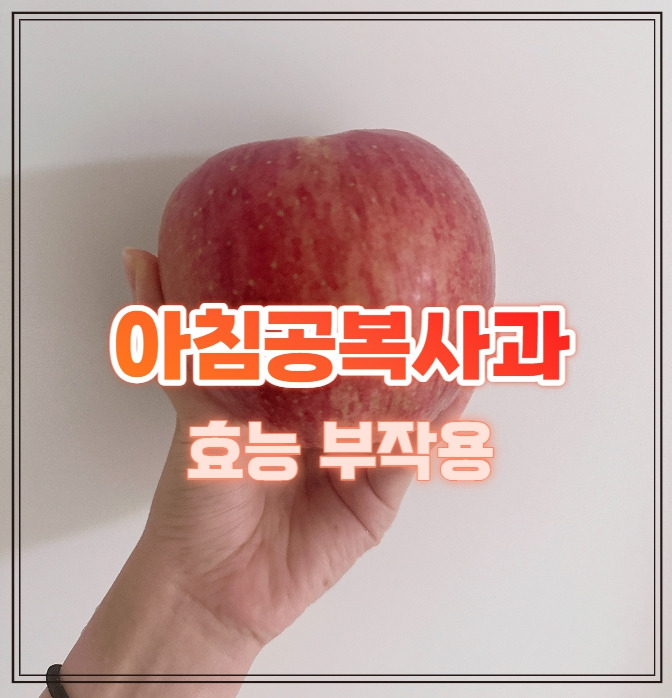 단식 사과 껍질의 효능 칼로리 부작용