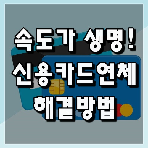 신용카드 연체시 리볼빙 외에 대금 해결을 하려면