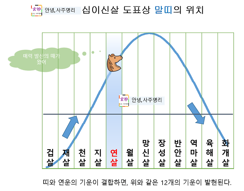 [띠] 2023년 계묘년 말띠 운세