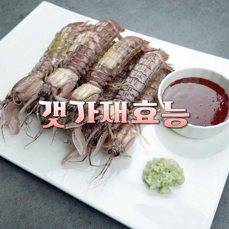 갯가재 효능 영양성분 고르는 법 부작용