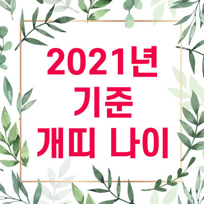 2021년 기준 개띠 나이