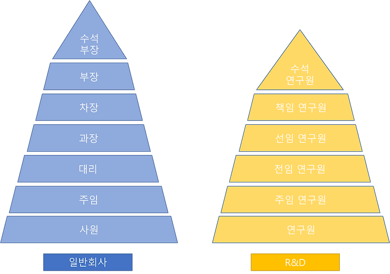 회사 직급 순서, 계급도 변화하는 직급!