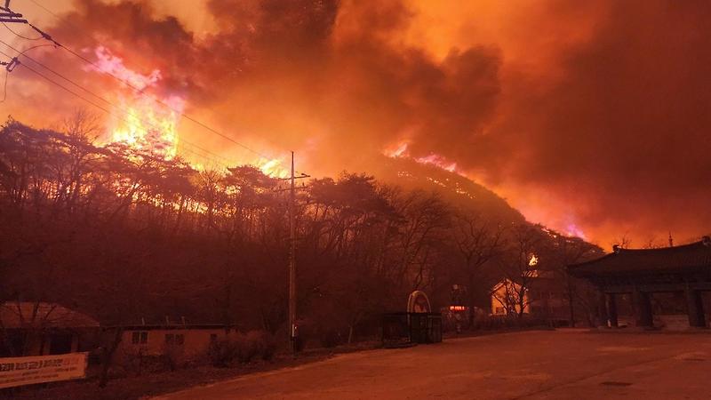 지역 휩쓸면서 <b>안동 하회마을</b> 위협 중... 지리산국립공원도 뚫렸다