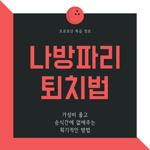 나방파리 퇴치법 가장 손쉬운 방법으로 해결