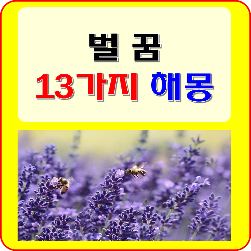 벌 꿈 꿀벌 꿈 해몽 풀이 13가지( 찔리는, 쏘이는, 나오는, 말벌, 죽이는, 잡는, 보는, 공격당하는, 쫓기는, 도망 꿈 등)